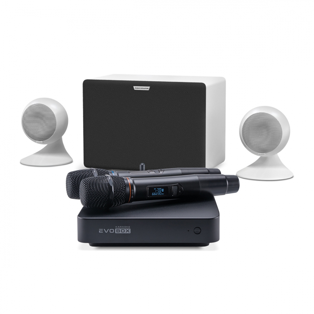 караоке-комплект EVOBOX Classic + EvoSound Sphere 2.1 в Алексине