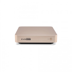EVOBOX с микрофонами в Алексине